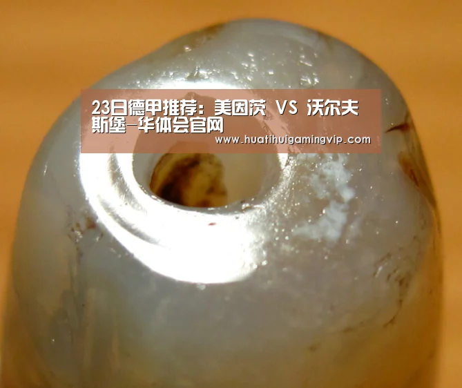 23日德甲推荐:美因茨 VS 沃尔夫斯堡-华体会官网(图1) 华体会官网