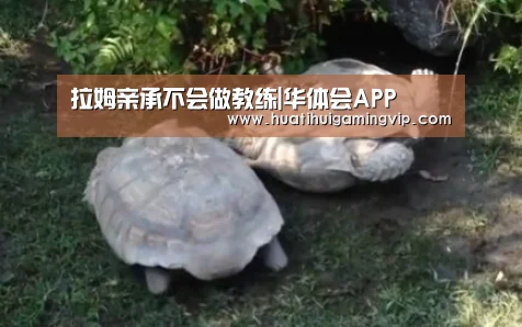 拉姆亲承不会做教练|华体会APP(图1) 华体会官网