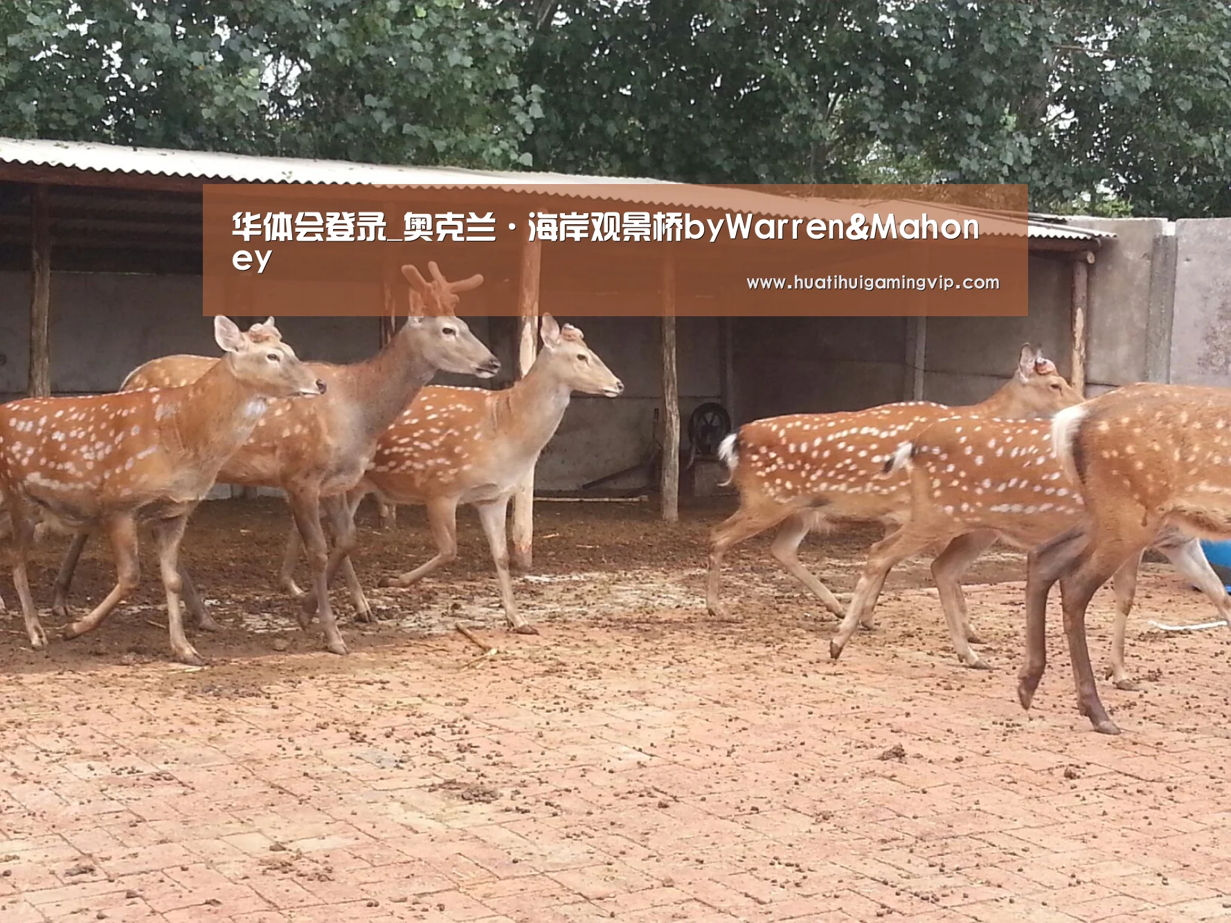 华体会登录