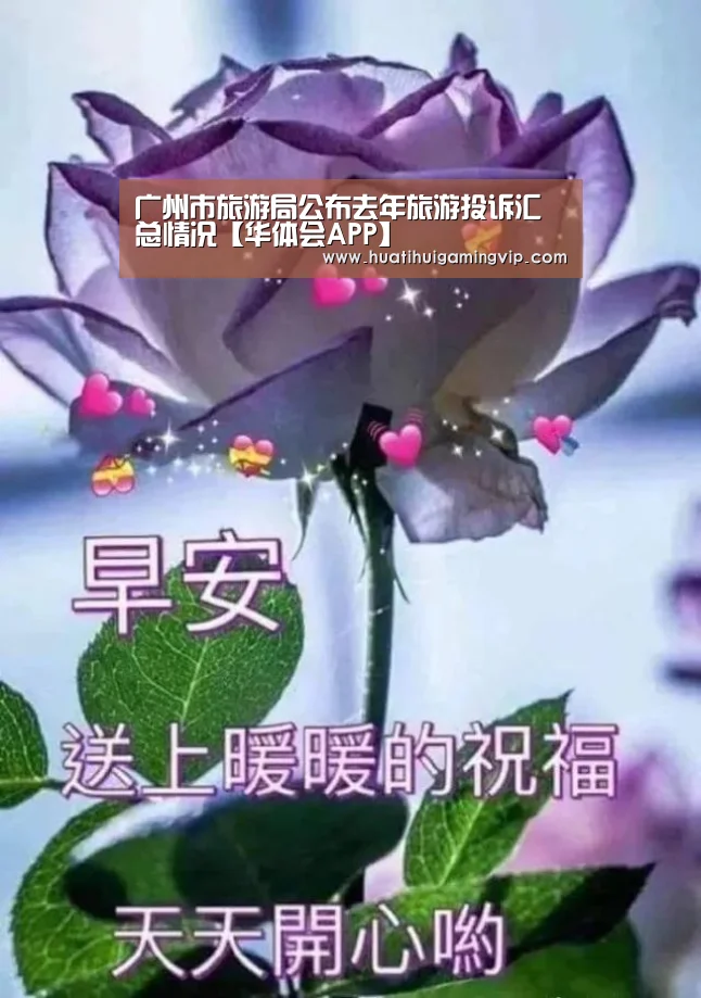 广州市旅游局公布去年旅游投诉汇总情况【华体会APP】(图2) 华体会官网