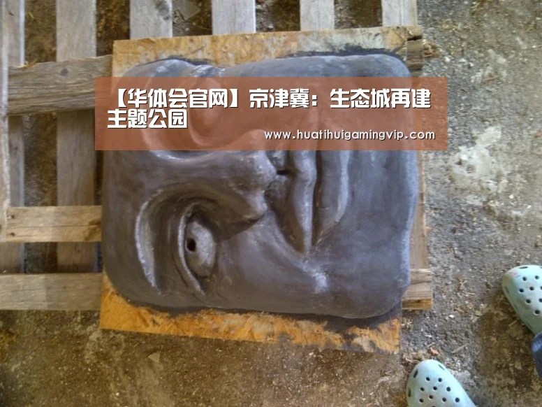华体会APP